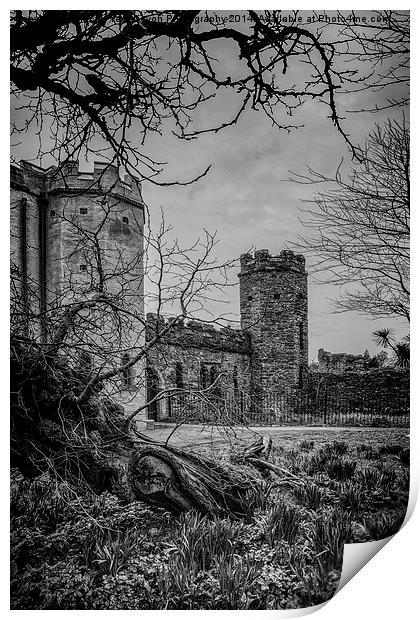 Torre Abbey Torquay Print by Tracey Yeo