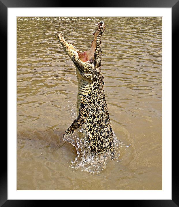 Queensland Wild Crocodile. Framed Mounted Print by Jeff Hardwick