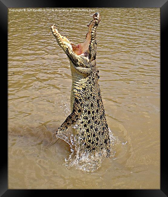 Queensland Wild Crocodile. Framed Print by Jeff Hardwick