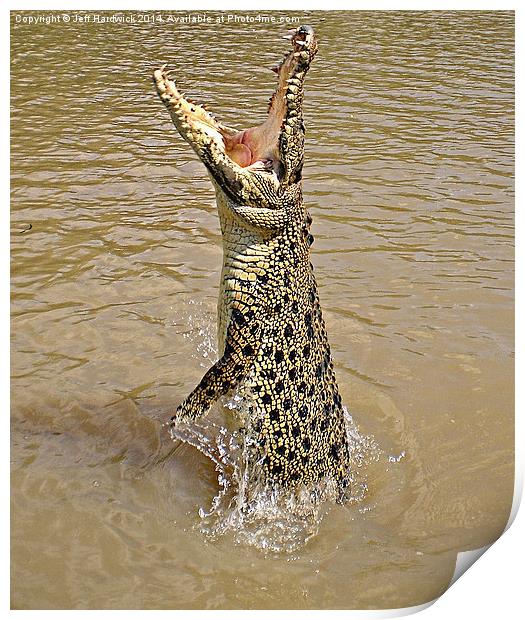 Queensland Wild Crocodile. Print by Jeff Hardwick