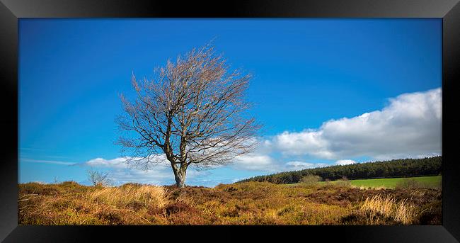 Peak District Framed Print by David Hare