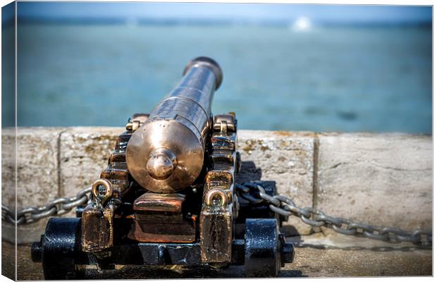 Ready... Aim...... Canvas Print by Ian Johnston  LRPS