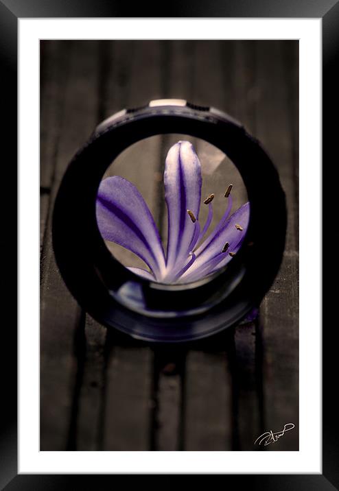 As seen through a lens Framed Mounted Print by Rob Toombs
