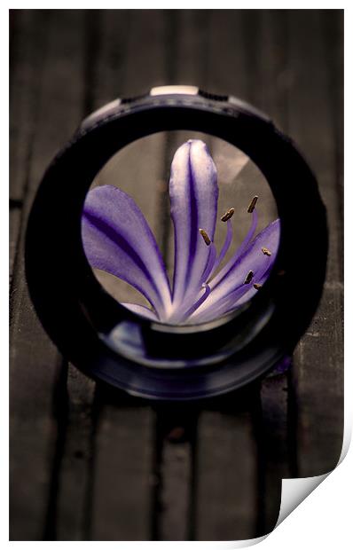 As seen through a lens Print by Rob Toombs