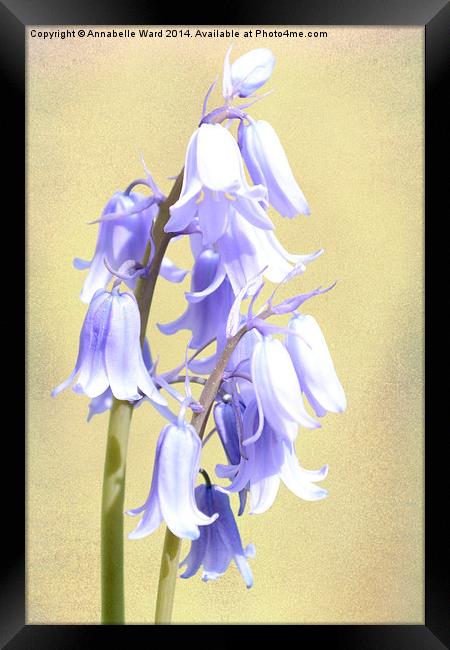 Bluebells on Cream Framed Print by Annabelle Ward