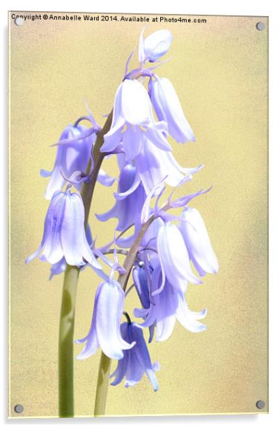 Bluebells on Cream Acrylic by Annabelle Ward