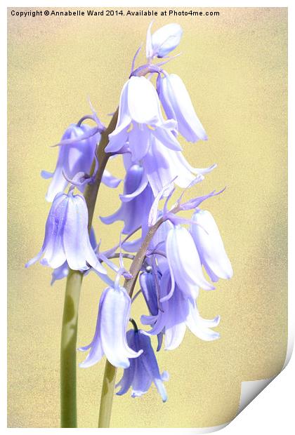 Bluebells on Cream Print by Annabelle Ward