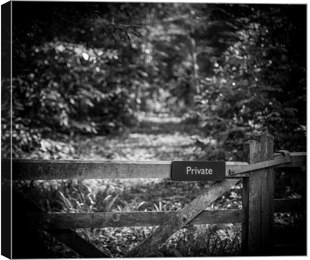 Private path into the woods Canvas Print by Ian Johnston  LRPS