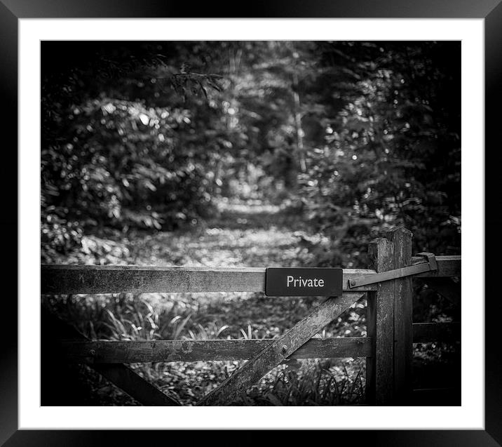 Private path into the woods Framed Mounted Print by Ian Johnston  LRPS