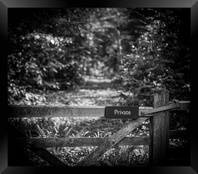 Private path into the woods Framed Print by Ian Johnston  LRPS