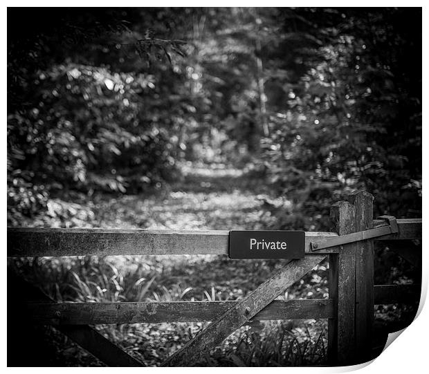 Private path into the woods Print by Ian Johnston  LRPS