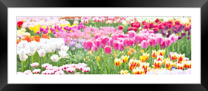As far as the eye can see 1 Framed Mounted Print by Michelle Orai
