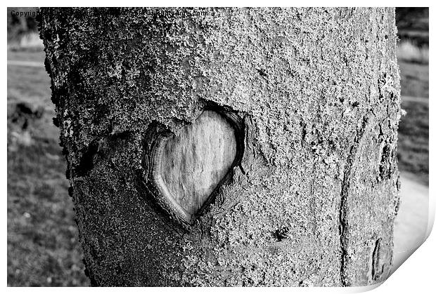 Love in Nature Print by Chris Archer