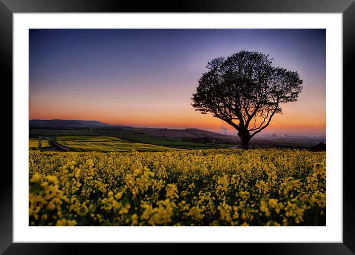Errington Sunset Framed Mounted Print by Darren Allen