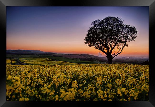 Errington Sunset Framed Print by Darren Allen