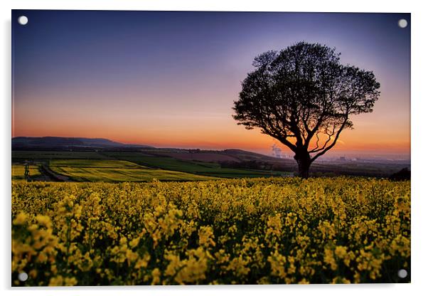 Errington Sunset Acrylic by Darren Allen