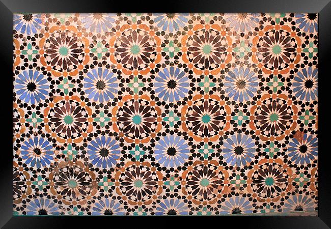 Mosaic 2 Framed Print by Ruth Hallam