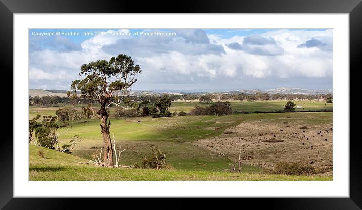 Australian landscape, Kilmore Framed Mounted Print by Pauline Tims
