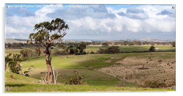 Australian landscape, Kilmore Acrylic by Pauline Tims