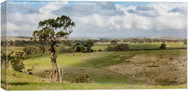 Australian landscape Kilmore 2 Canvas Print by Pauline Tims