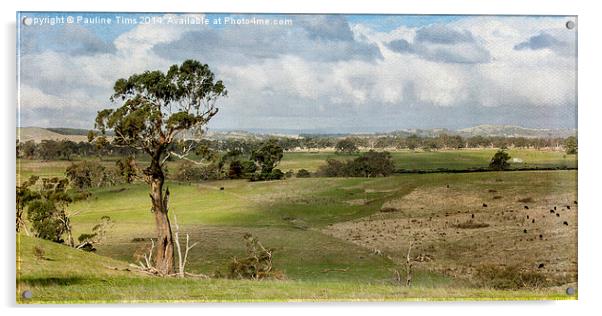 Australian landscape Kilmore 2 Acrylic by Pauline Tims
