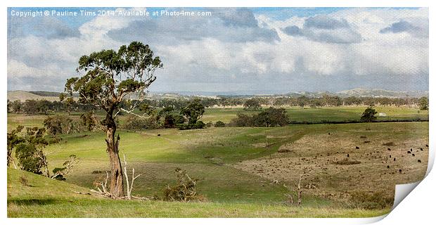 Australian landscape Kilmore 2 Print by Pauline Tims