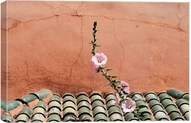 Moroccan tile roof Canvas Print by Ruth Hallam