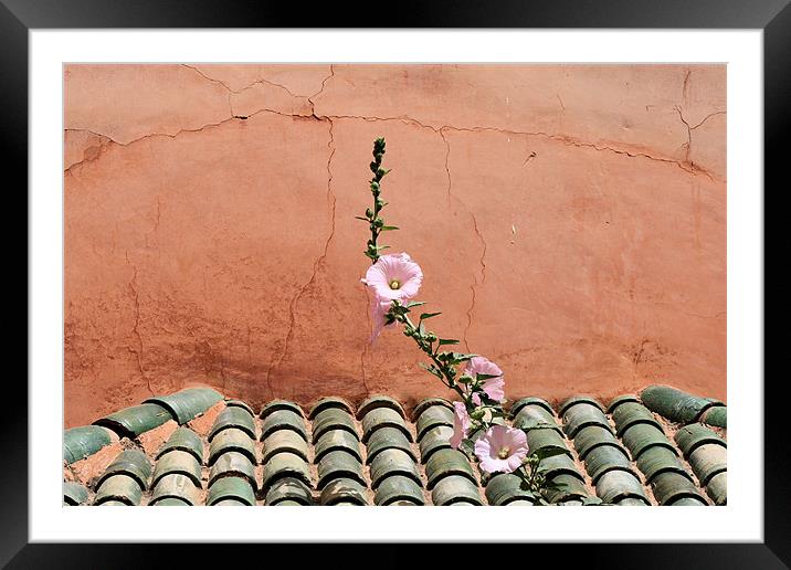 Moroccan tile roof Framed Mounted Print by Ruth Hallam