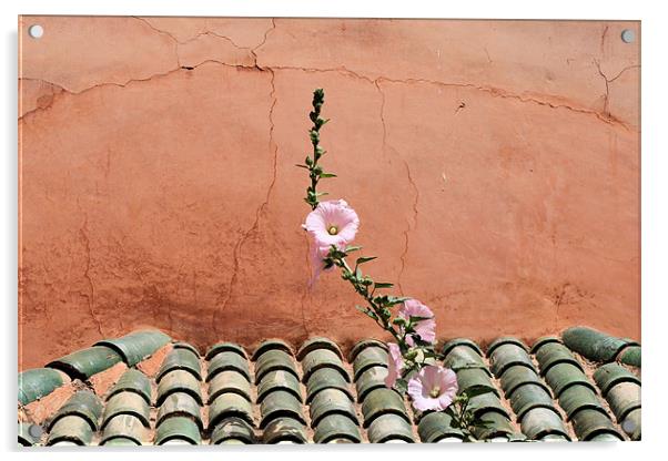 Moroccan tile roof Acrylic by Ruth Hallam
