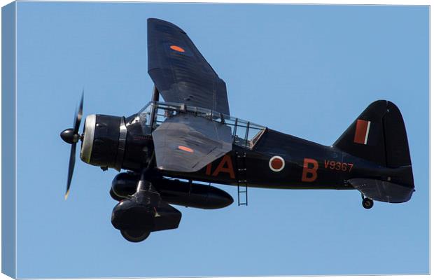 Westland Lysander Canvas Print by Oxon Images
