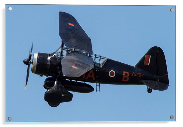 Westland Lysander Acrylic by Oxon Images