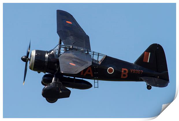 Westland Lysander Print by Oxon Images