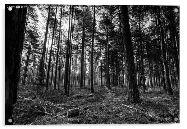 Black and White Woodland Acrylic by Phil Wareham