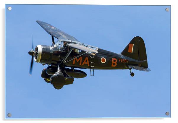 Westland Lysander Acrylic by Oxon Images