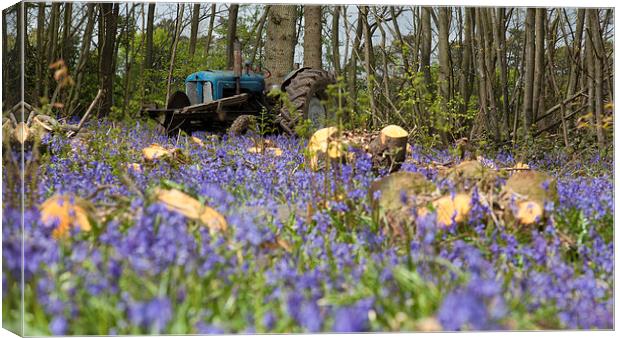 Bluebell the Tractor Canvas Print by Nigel Jones