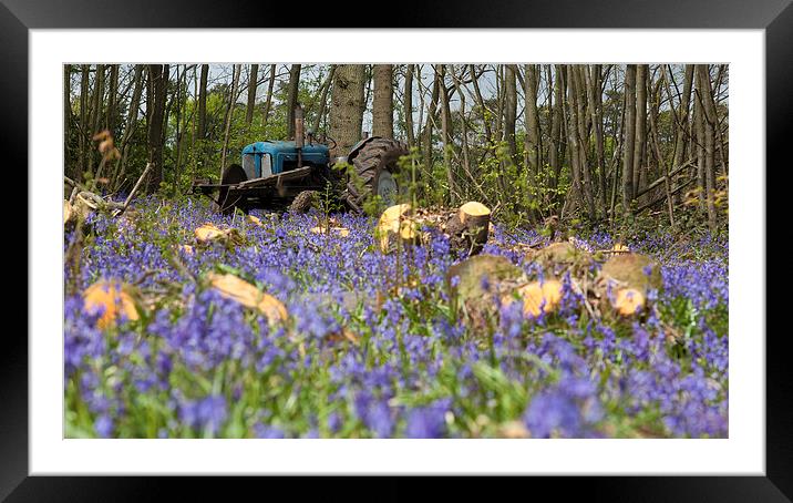 Bluebell the Tractor Framed Mounted Print by Nigel Jones