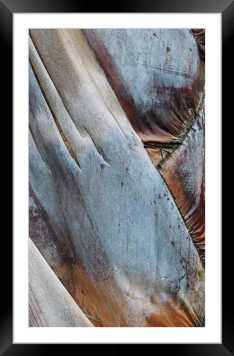 an abstract beauty Framed Mounted Print by Heather Newton
