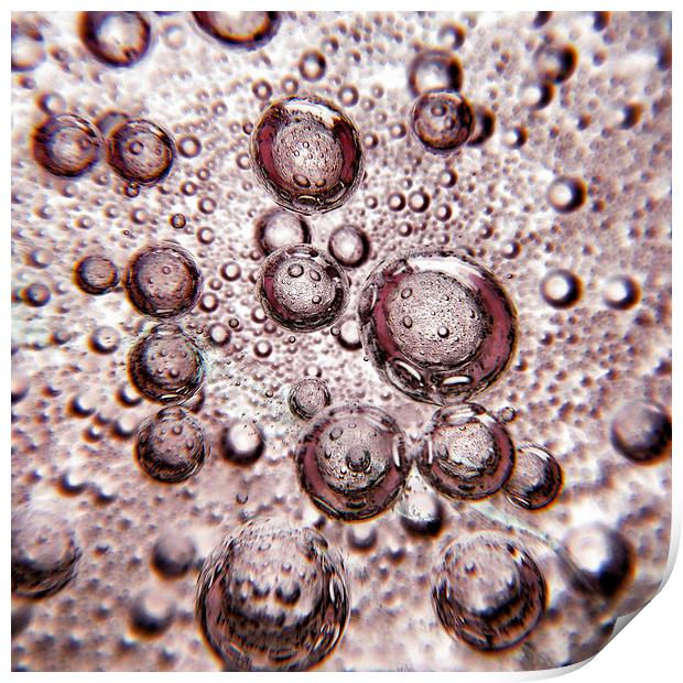 pink bubbly Print by Heather Newton
