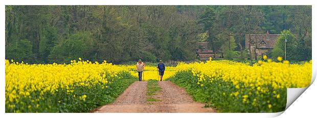 Mellow Yellow Print by Roger Byng