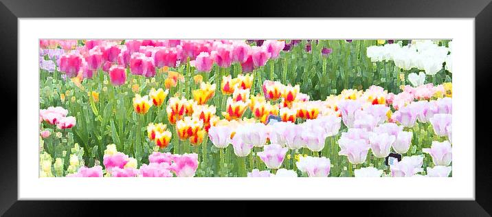 As far as the eye can see Framed Mounted Print by Michelle Orai