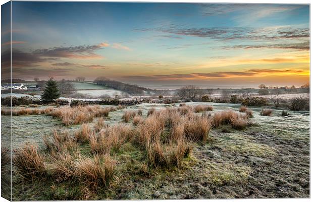 Frosty Sunrise at Bellever on Dartmoor Canvas Print by Helen Hotson