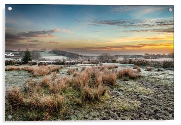 Frosty Sunrise at Bellever on Dartmoor Acrylic by Helen Hotson