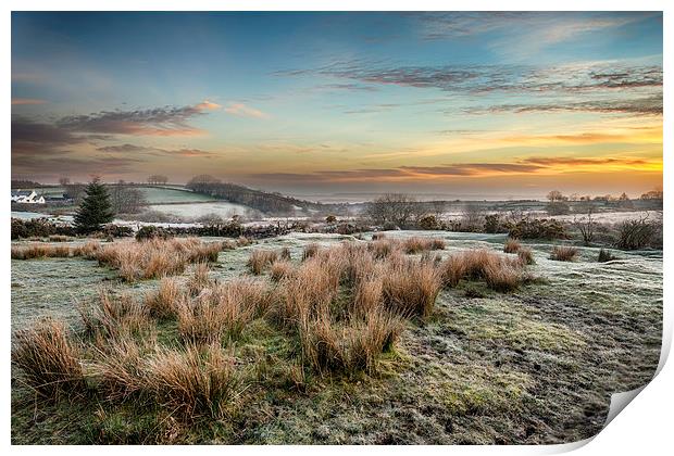 Frosty Sunrise at Bellever on Dartmoor Print by Helen Hotson