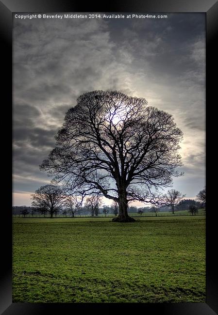 Last of the sun Framed Print by Beverley Middleton