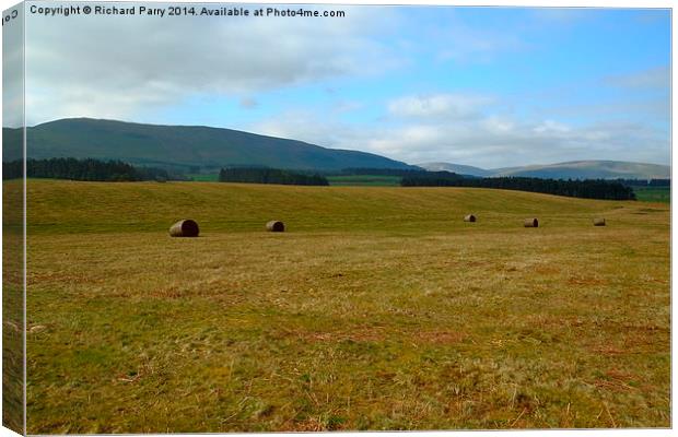 Brecon Bales Canvas Print by Richard Parry