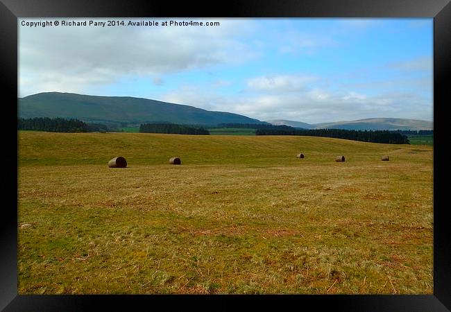 Brecon Bales Framed Print by Richard Parry