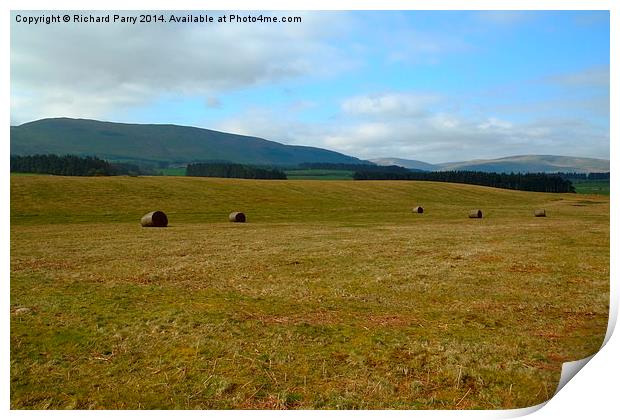 Brecon Bales Print by Richard Parry