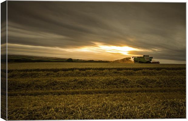 Cornwall Harvest Canvas Print by Oxon Images