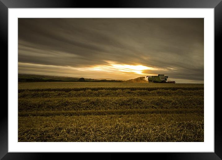 Cornwall Harvest Framed Mounted Print by Oxon Images