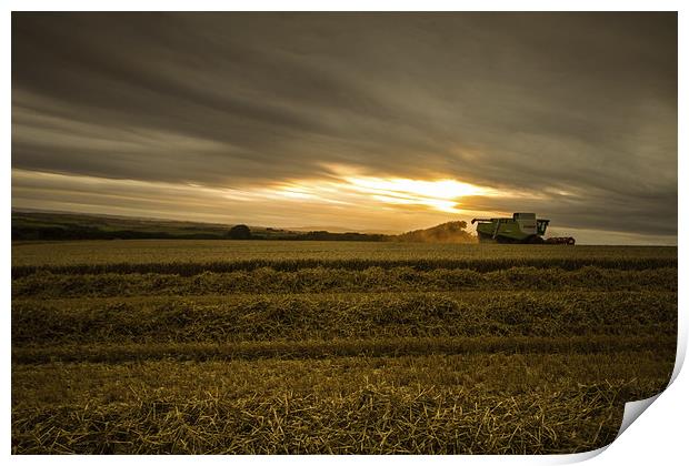 Cornwall Harvest Print by Oxon Images